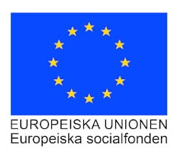 Europeiska socialfonden