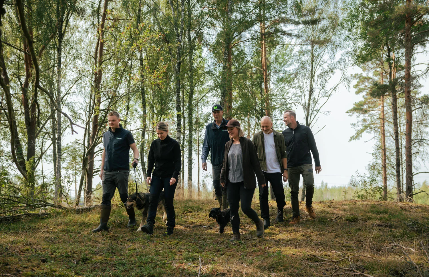 mellanskog årets kooperativ i dalarna