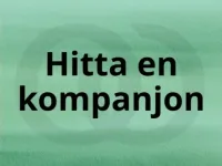 Verktyg och mallar - 7